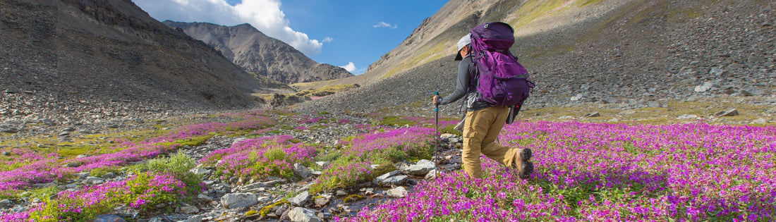 US National Parks List